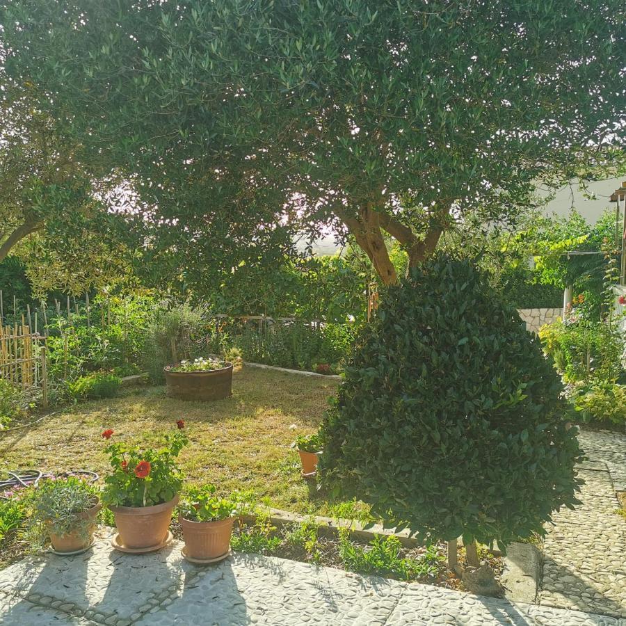 Pag Vlašići Buitenkant foto