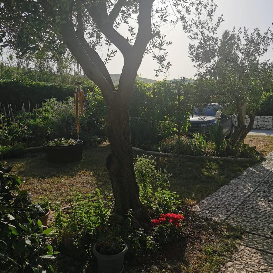 Pag Vlašići Buitenkant foto